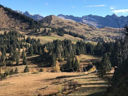 Chalet Milou