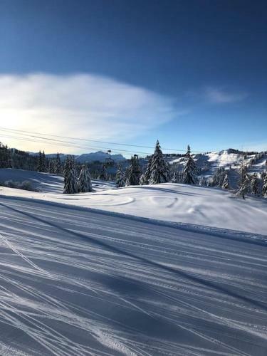 Chalet Milou