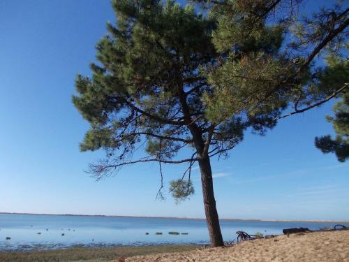 Village Vacances 4 Etoiles Les Mathes