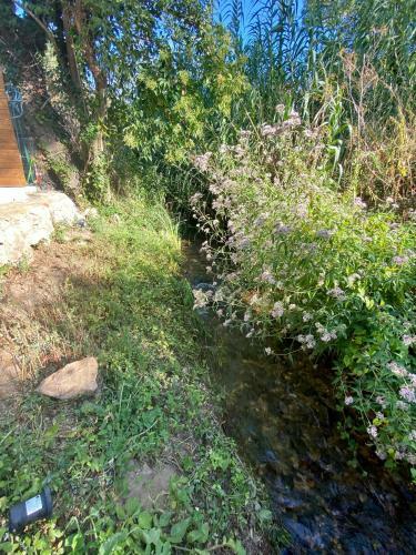 Bed & Breakfast Suite Phantastica