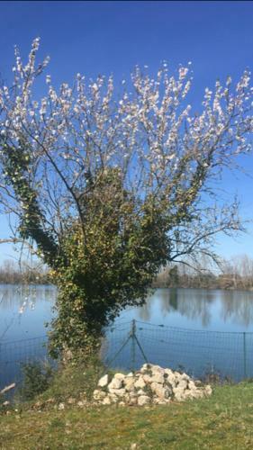 Villa Maison Au Bord Du Lac Avec Piscine Chauff�e