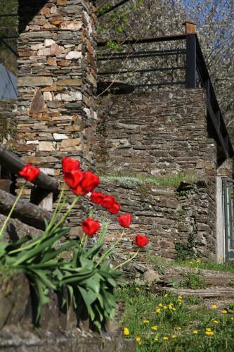 La Maison Verte