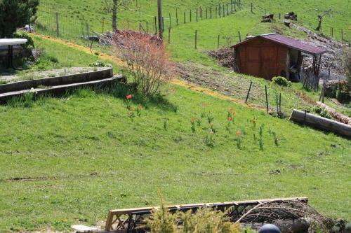 Apartamento G�te Du Bief De La Chaille