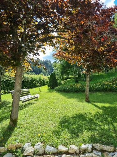 Apartamento Appartement Spacieux Tout Confort