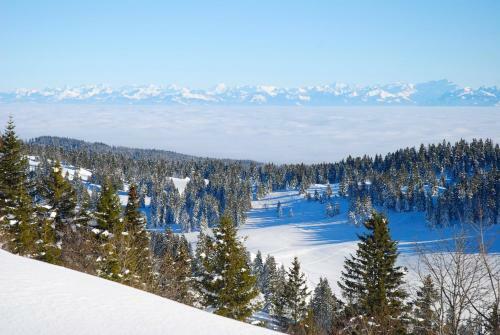 Apartamento Neige & Soleil Les Rousses