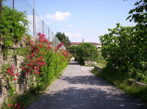 Hotel Des Oliviers