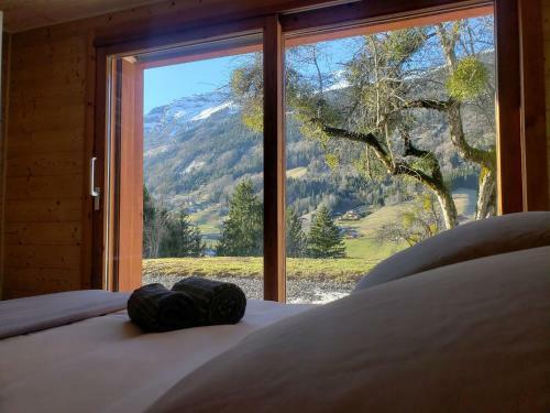 Les Picaillons - Le Chalet