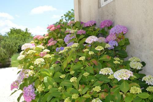 Bed & Breakfast La Vieille Distillerie