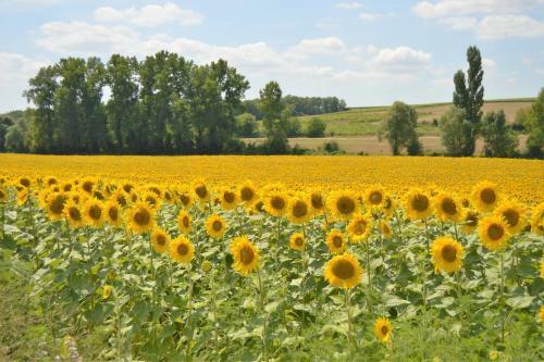 Bed & Breakfast La Vieille Distillerie