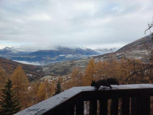 Apartamento Les �cureuils Du M�ale