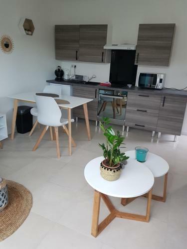 Apartamento Studio