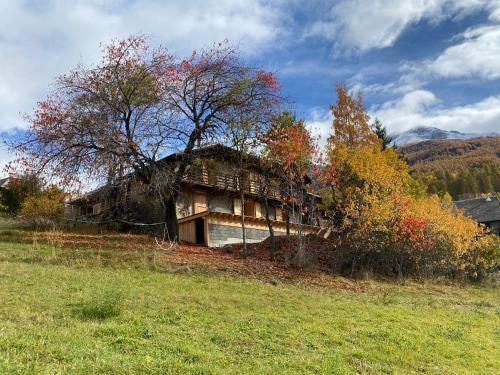 Maison de Montagne Alpes Du Sud/station Les Orres