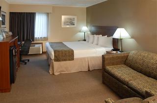 Hotel Best Western Meander Inn - Youngstown