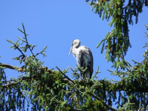 Bed & Breakfast Sheltered Nook On Tillamook Bay