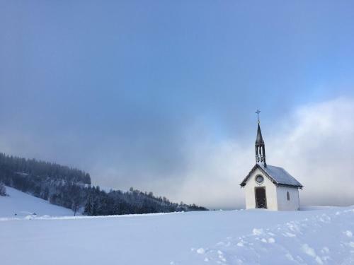G�te Le Thillot, 2 Pi�ces, 4 Personnes - Fr-1-589-383