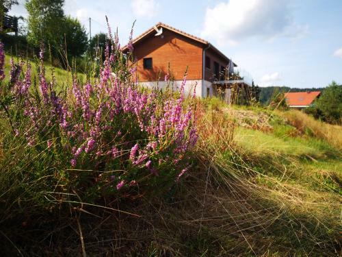 Chalet � L'or�e Du Bois