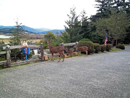 Motel 6 Gold Beach