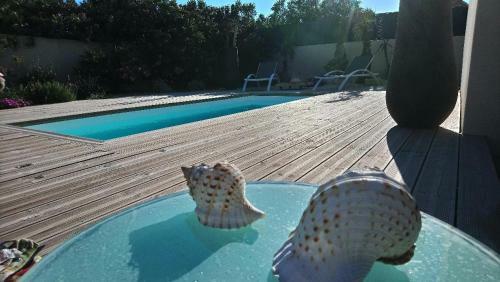 Apartamento Sunrise