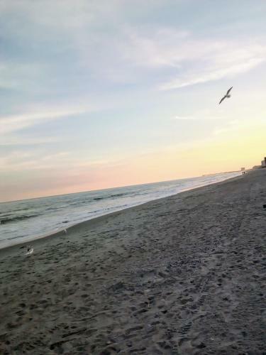 Apartamentos Lee's Myrtle Beach Condo