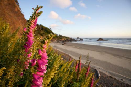 Hotel Inn At Cannon Beach