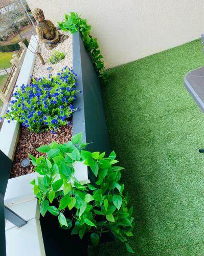 Apartamento Cocon D�co + Terrasse & Parking Ferm� Z�nith Ester