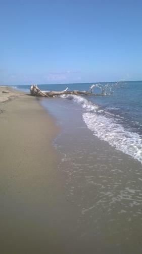 Apartamento Appartement T2 Bord De Mer