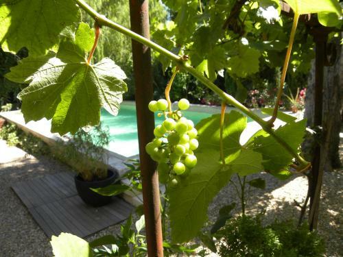 Bed & Breakfast Maison Piloni