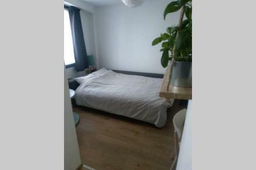 Apartamento Cosy Studio Dans Maison De Village