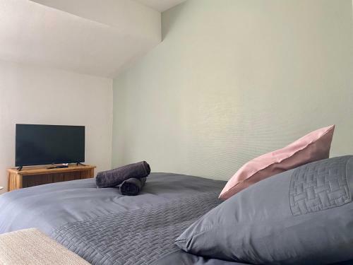 Apartamento Studio Confort Tout �quip�, Wifi, Proche Orly Massy Paris