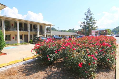 Motel Blue Ridge Inn