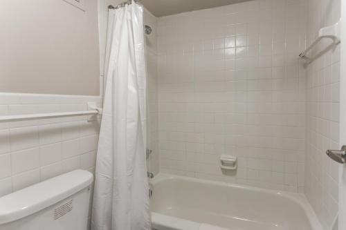 Apartamento River View Studio In Downtown Memphis - Walk Score 85