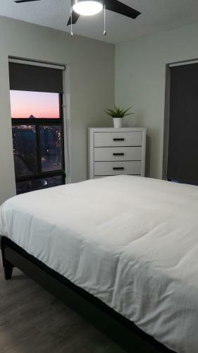 Cozy Downtown High-rise Luxury Apartments