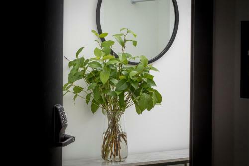 Apartamento The Rambler