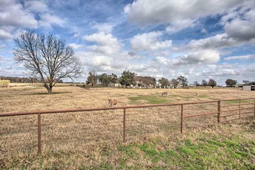 Cozy And Quiet Aubrey Getaway With Pasture Views!