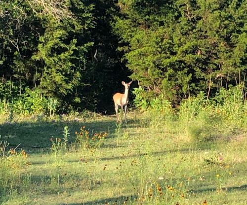 Perfect Country-side Get-away
