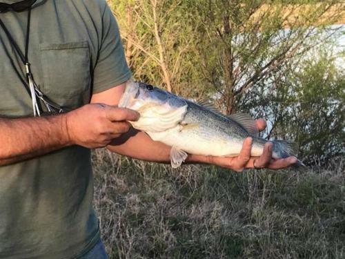 Texas Ranch 26 Acre Country Fishing Cabin
