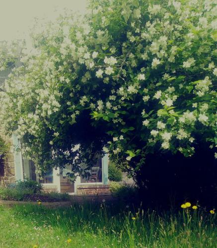 Bed & Breakfast Maison Du Tertre