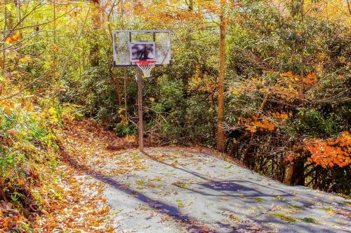 Laurel Creek Hideaway