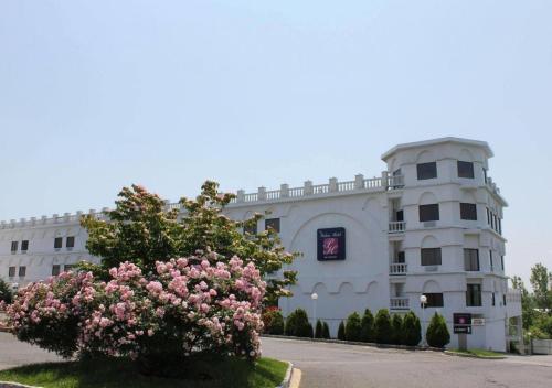 The Palace Hotel
