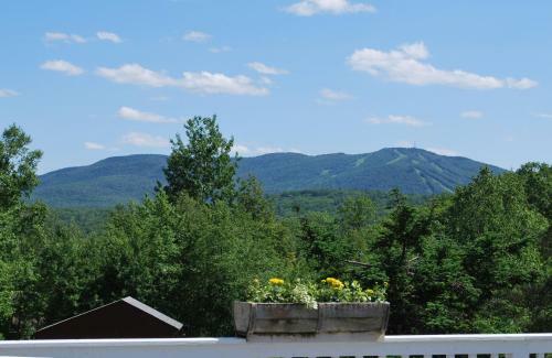 Burkehaven Lodge