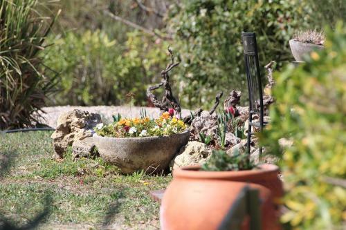 Hostal Villa Colibri