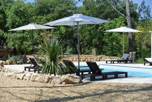 Bed & Breakfast Villa Carpe Diem