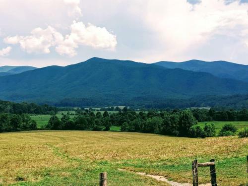 ?pigeon Forge? View 2 King Bed Gsmnp Wifi Hot Tub!