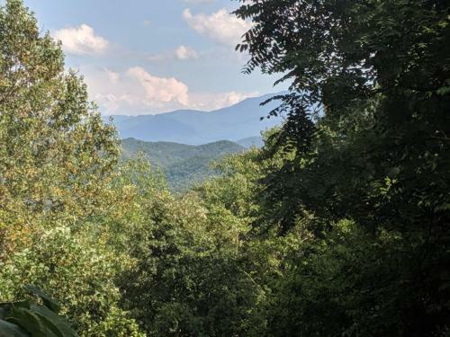 ?pigeon Forge? View 2 King Bed Gsmnp Wifi Hot Tub!