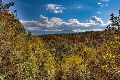 Rustic 4/2 Log Cabin With Lovely Views! Sleeps 8!