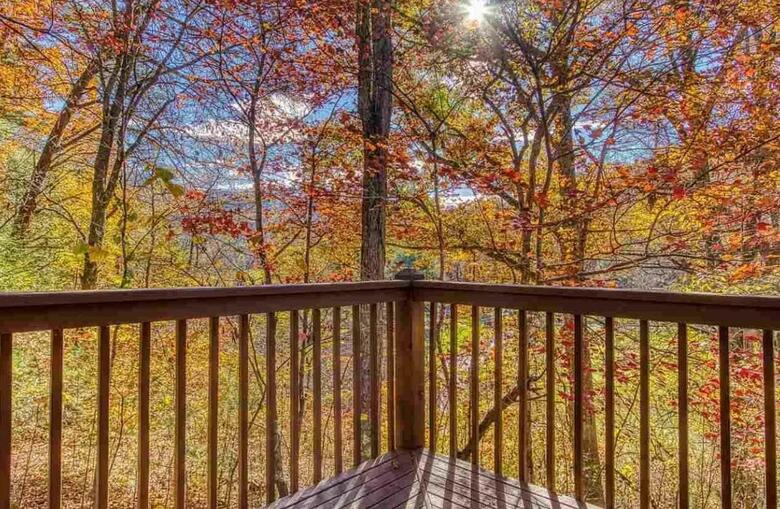 A Cowpoke's Dream Cabin
