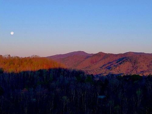 Southern Comfort Cabin
