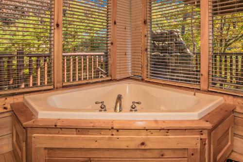 Brown Bear Lodge