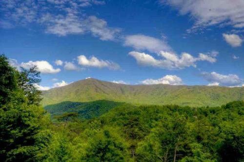 Perfect Private Cabin W Amazing Mountain Views