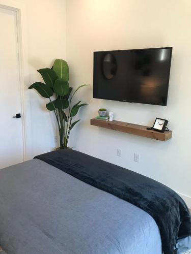 The Zen Den